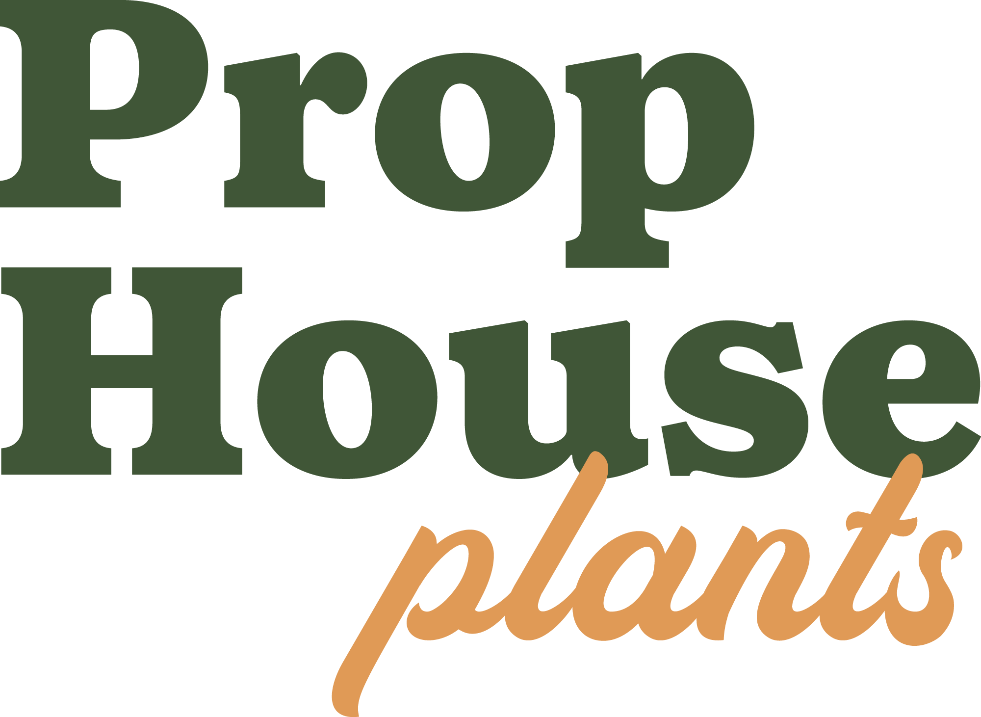 Indoor Plants Prop House Plants